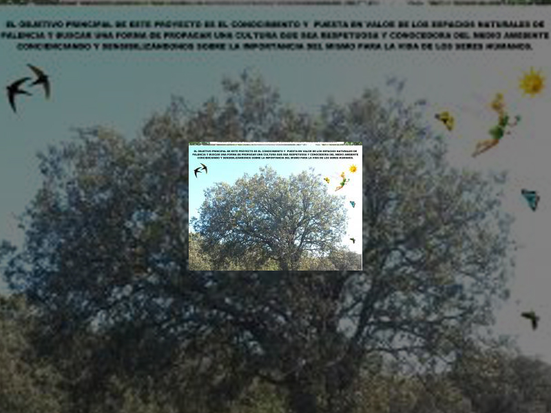 Imagen proyecto-ambiental-page-001