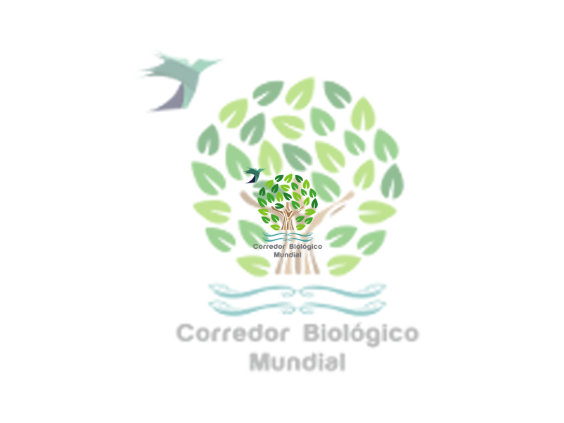 Imagen El Monte el Viejo entrará a formar parte del Corredor Biológico Mundial