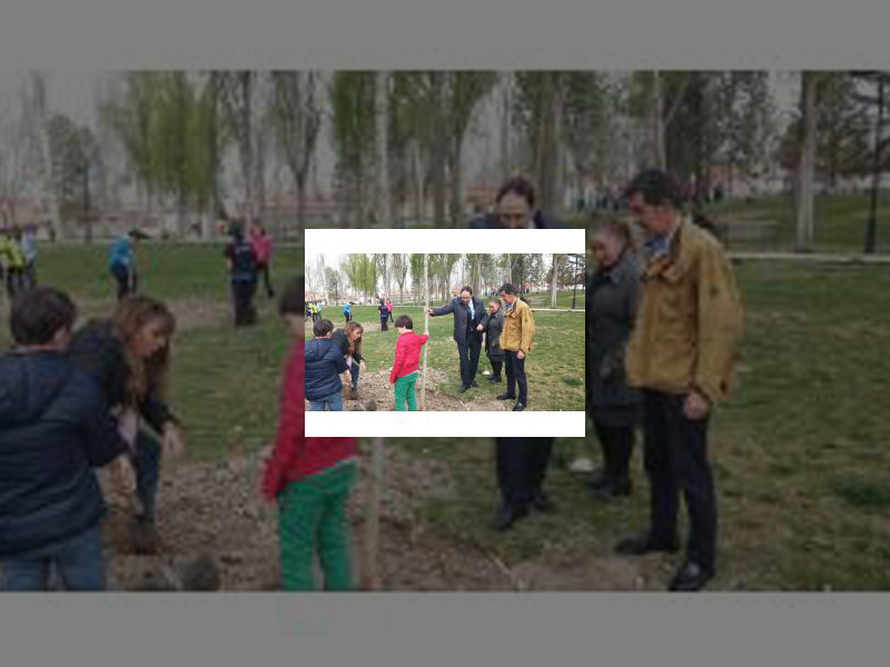 Imagen El Ayuntamiento celebra el Día Mundial del Árbol con una plantación de 38 ejemplares en el Parque de las Américas