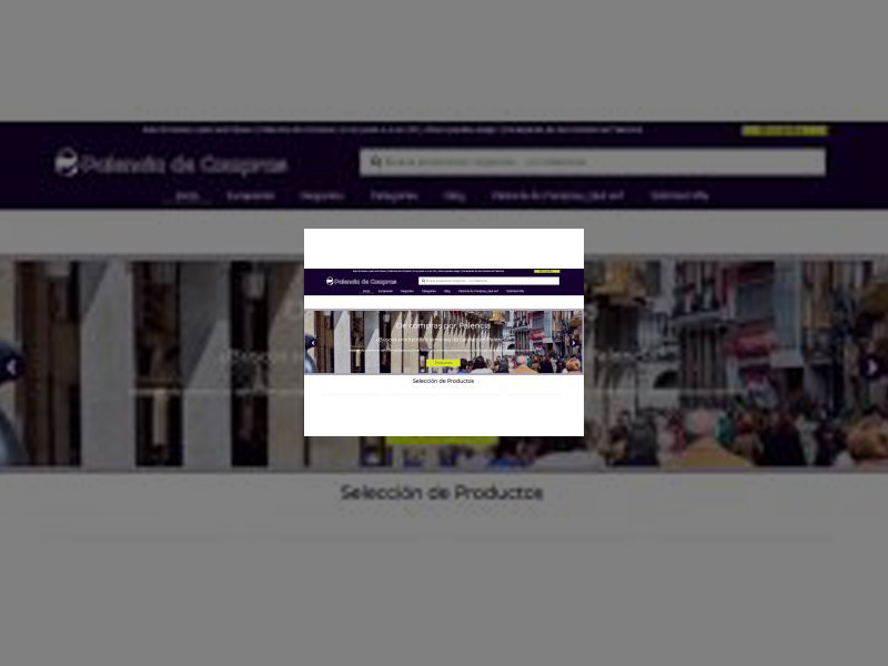 Imagen La campaña de difusión de la página web &#039;Palencia de Compras&#039; ha logrado superar los 1,34 millones de impactos online