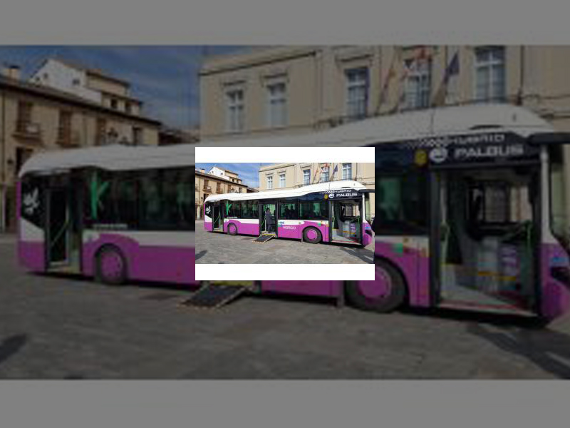 Imagen El autobús urbano pone en marcha la Línea 6 que conecta la Plaza de León con el Monte El Viejo este lunes a partir de las 11:30 horas