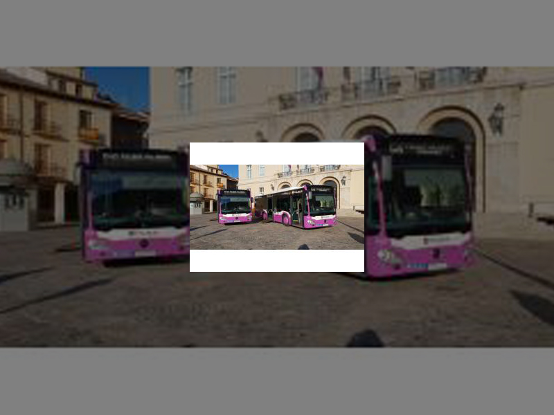 Imagen El Ayuntamiento decreta la reanudación del servicio de transporte urbano al 33% de su capacidad a partir del próximo lunes 4 de mayo