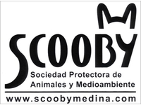 Imagen Logo Protectora de Animales de Palencia
