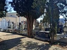 La nueva Ordenanza Reguladora del servicio municipal del cementerio introduce cambios de titularidad de los Derechos Funerarios y la posibilidad de acudir acompañado de animales de compañía, entre otros.